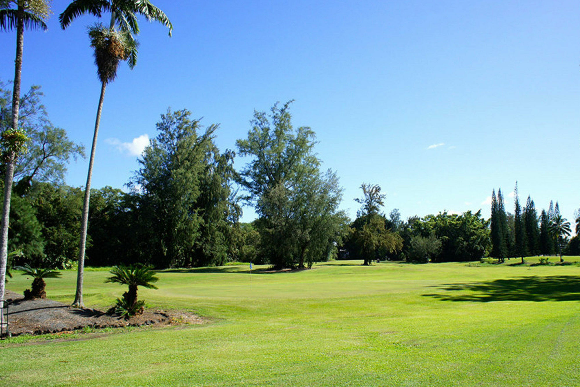 Grand Naniloa Hotel, A Doubletree By Hilton Hilo Ngoại thất bức ảnh